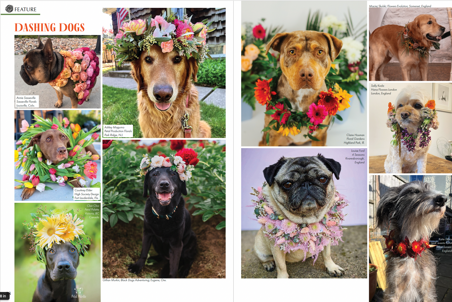 June 2025 - Florists' Review Digital